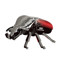 111_Goliath_Beetle_rendering_0001_woBG.png