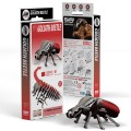 111_PACK3_Goliath_Beetle_20231103.jpg