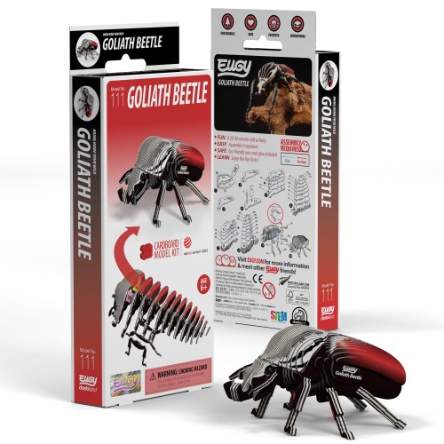 111_PACK3_Goliath_Beetle_20231103.jpg