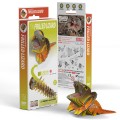 108_Frilled-lizard_PACK_20231010.jpg