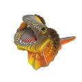 108_Frilled-lizard_white.jpg