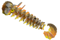 108_frilled_lizard_exploded(1).png