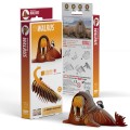 107_Walrus_PACK_20230911.jpg