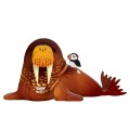 107_Walrus_white.jpg