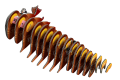 107_Walrus_exploded_20230906.png