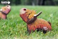 106_Highlandcow krowa eugy układanka w naturze.jpg