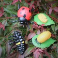 cykl zycia biedronki w naturze figurki safari ltd.jpg