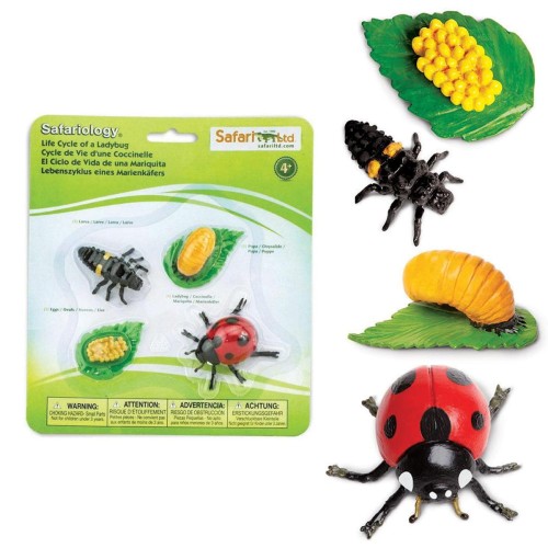cykl zycia biedronki zestaw figurek safari ltd.jpg