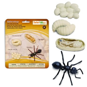 Cykl Życia Mrówki. Zestaw Figurek Safari ltd.    