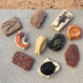 Skamienialosci figurki safari.jpg