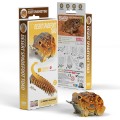 117_PACK3_Desert_Spadefoot_Toad_ropucha.jpg