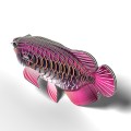 118_arowana azjatycka ryba eugy.jpg