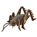 119_Giant_Weta_8Mar_woBG.png
