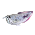 124_ryba układanka eugy arowana
