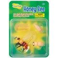 cykl życia pszczoły figurki Insect Lore