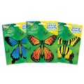 nakręcane motylki insect lore