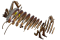 119_Giant_Weta_8Mar_exploded.png