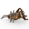 119 weta olbrzymia owad układanka eugy
