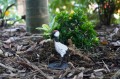 DSC04472.JPG