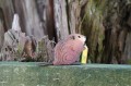 DSC04479.JPG