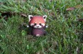 czerwona panda w trawie