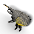 112-Hercules_Beetle_rendering_0003.png