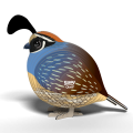 129_Quail_02.png