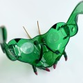 niesamowite owadzie okulary