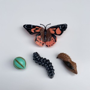 Cykl Życia Motyla. Zestaw Figurek Insect Lore. 