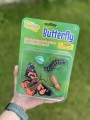 figurki insect lore cykl zycia motyla opakowanie