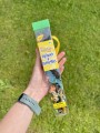 image00001.jpeg