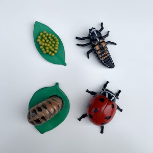 Cykl Życia Biedronki. Zestaw Figurek Insect Lore. 