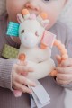 Giraffe Taggies 6 _ credit IG @keepingupwiththeseniors.jpg